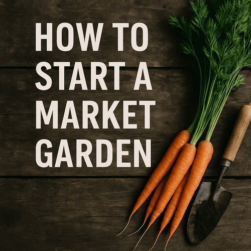 Wpis bez tytułu 764